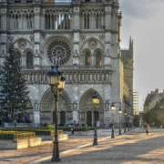 Un albero di Natale vicino a Notre Dame